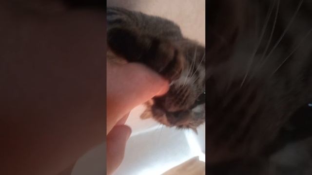 2 мая 2023 г. смотреть онлайн