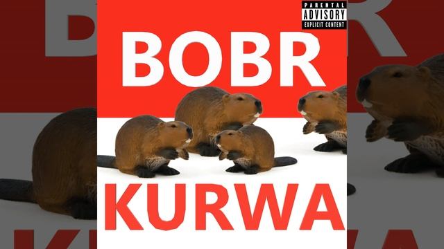 Bobr Kurwa