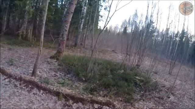 Открытие весенней охоты 2019 (Будни охотника и рыбака) смотреть онлайн