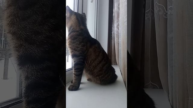 7 февраля 2023 г. смотреть онлайн