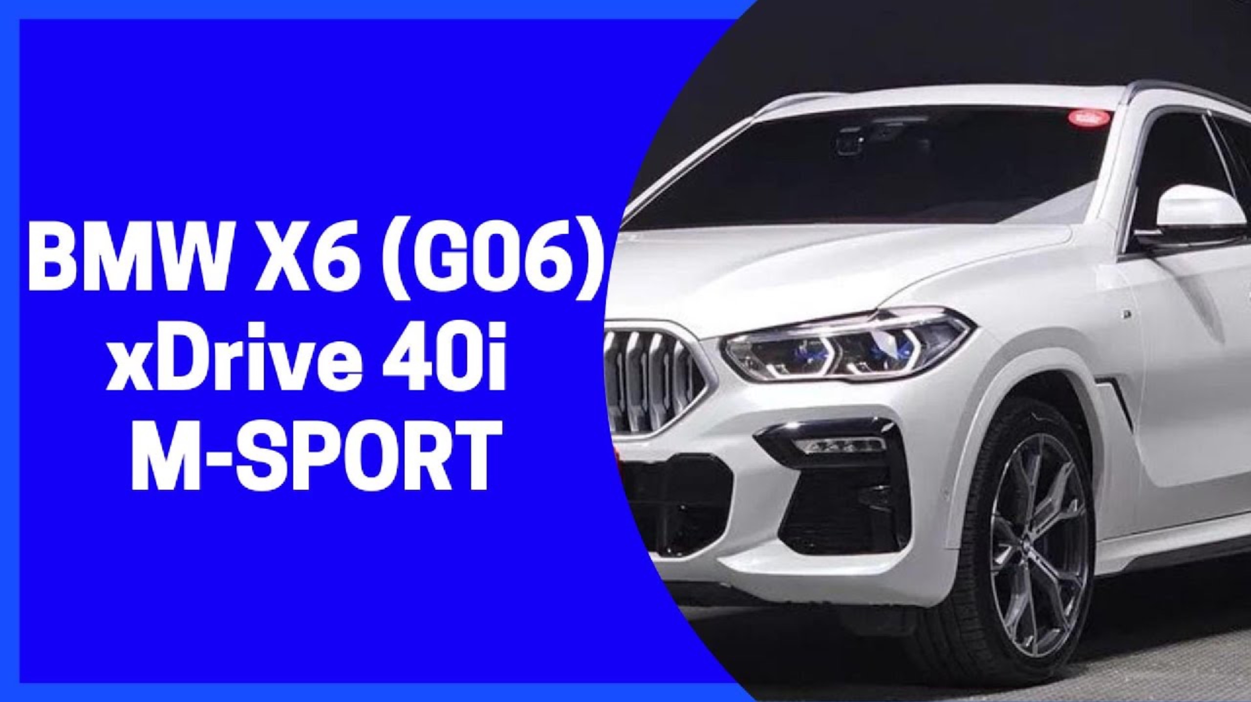 BMW X6 (G06) xDrive 40i M-PACK. Детали в описании! Осмотр и покупка для Людмилы из Екатеринбурга. смотреть онлайн