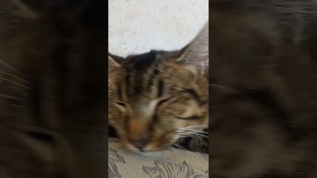 27 мая 2023 г. смотреть онлайн