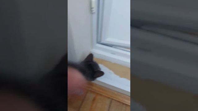 Video_2025-01-06_23-11-37