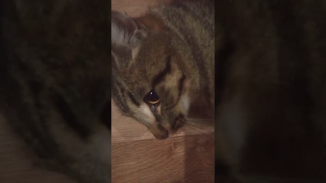 опять смотреть онлайн