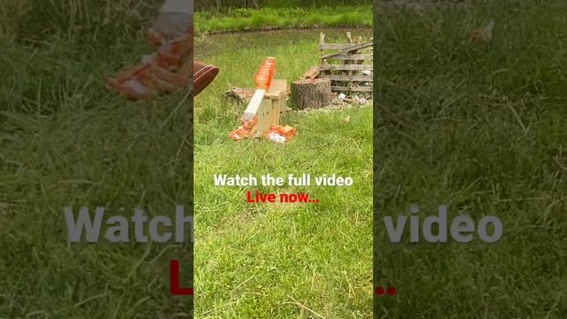 Join the Nation 12 ￼ gauge vs ramen 🍜 смотреть онлайн