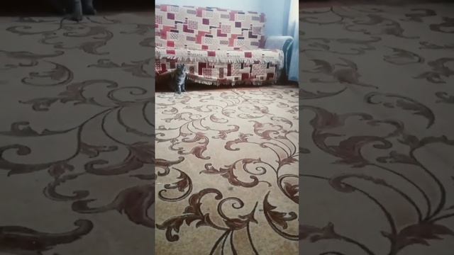 16 февраля 2023 г. смотреть онлайн