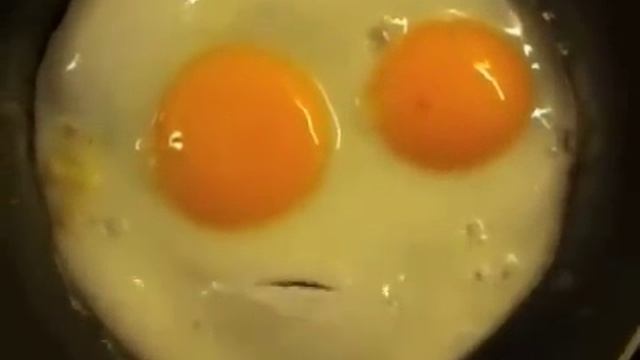Talking Eggs! Sprechende Eier! смотреть онлайн