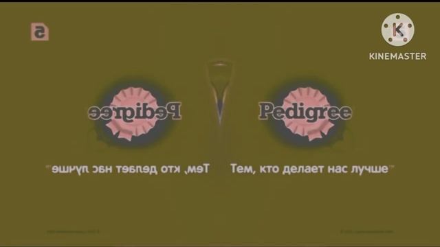 Реклама Елена Китикет Еда энергичных кошек 2023 Effects смотреть онлайн