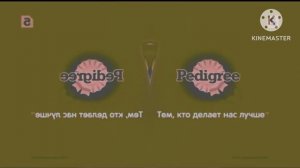 Реклама Елена Китикет Еда энергичных кошек 2023 Effects