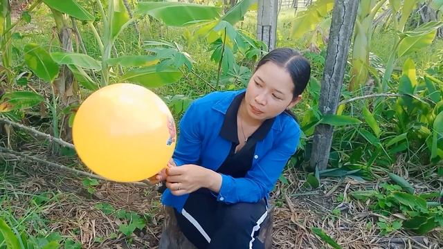 In The Evening Sister Blowing Balloon Video At Farm, Tlwalker Mrr смотреть онлайн