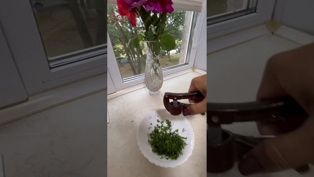 Закуска из баклажанов. Рулетики. Вкусно и просто. #рецепты #еда #рецепты #shorts смотреть онлайн