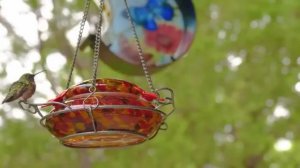 СПИ С БИБЛИЕЙ! 8 ЧАСОВ БИБЛЕЙСКИХ МЕСТ ПИСАНИЯ! ПРОВЕРЕНО И РАБОТАЕТ ДЛЯ ДУХА! КАНАЛ: СПИ С БИБЛИЕЙ