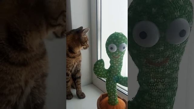 21 февраля 2023 г. смотреть онлайн