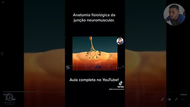Anatomia Fisiológica Da Junção Neuromuscular