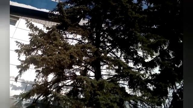 г.Мелитополь 26.04.2022 что было ?!.работодатель ,и ещё немного чего 😊 смотреть онлайн