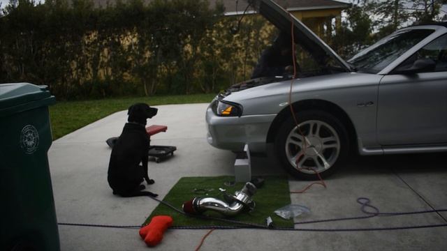 How to install a cold air on a Sn95 mustang смотреть онлайн