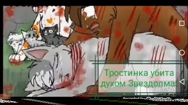 Коты-воители смерти. смотреть онлайн