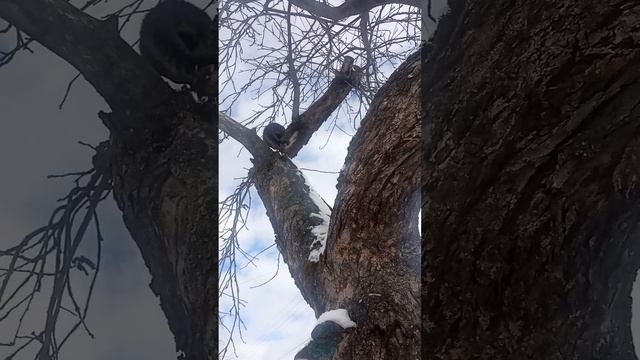 19 февраля 2023 г. смотреть онлайн