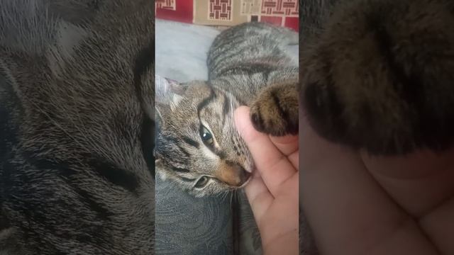 3 февраля 2023 г. смотреть онлайн