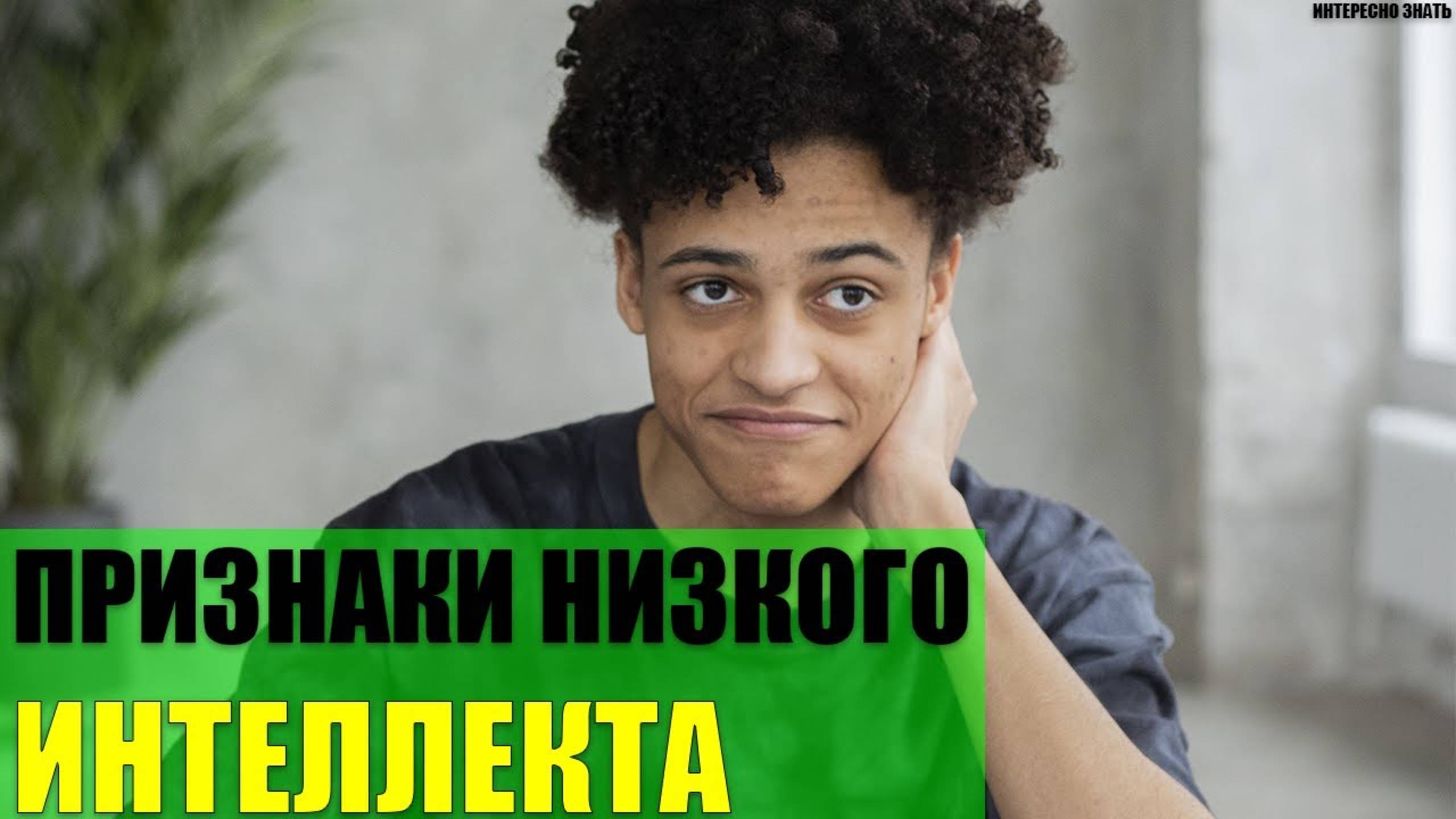 Признаки низкого интеллекта смотреть онлайн