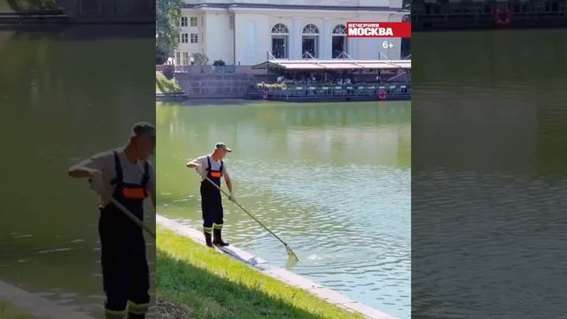Гуляем ВМесте. Патриаршие пруды смотреть онлайн