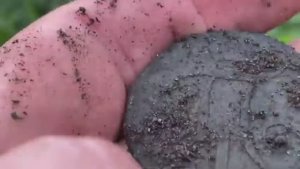 Нашёл серебряный орден,оружие и старинные монеты в старой деревне