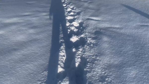 Поход на скалу Чертов палец (Алтай) по снегу и по следам зайцев 5 января 2025г 4K