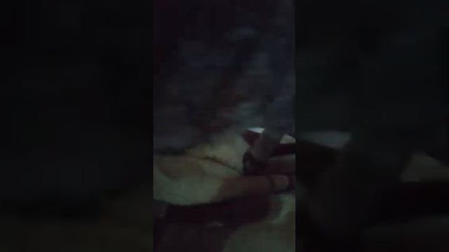 3 февраля 2023 г. смотреть онлайн