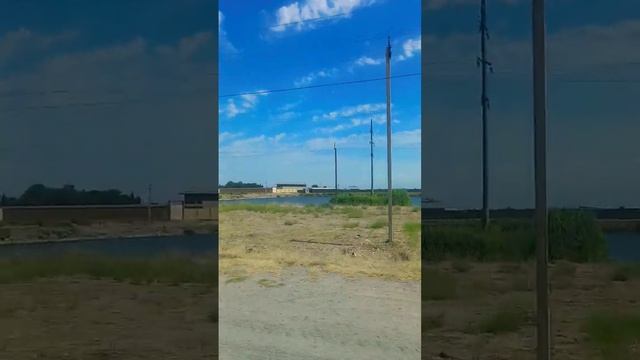Справа рисовые поля под водой. Ташкентская область, Юкоричирчикский район, Ташаул, Узбекистан. смотреть онлайн