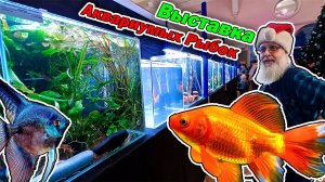 Выставка аквариумных рыбок 2025 открыта!