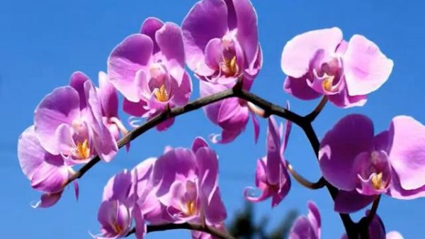 Прекрасное рядом!....