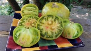 Beautiful Ananas Zebra Tomato. Production, Production, Production!