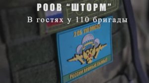 110 Отдельная Мотострелковая Бригада ДНР, артиллеристы.