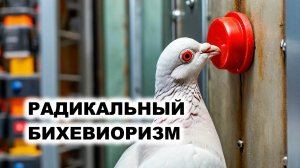 05.2. Радикальный Бихевиоризм (Б. Скиннер)