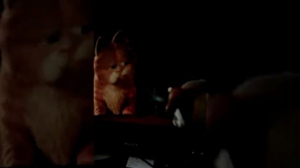 Песня Гарфилда