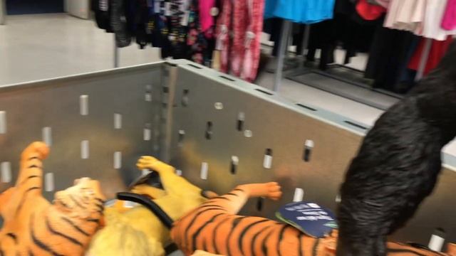 Гориллы смотрят друг на друга суровыми взглядами на протяжении 20 секунд смотреть онлайн