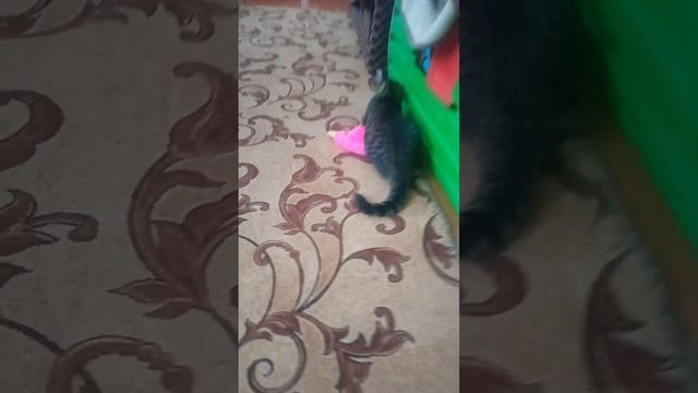 13 февраля 2023 г. смотреть онлайн