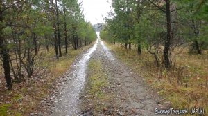 По окрестностям Междуреченска