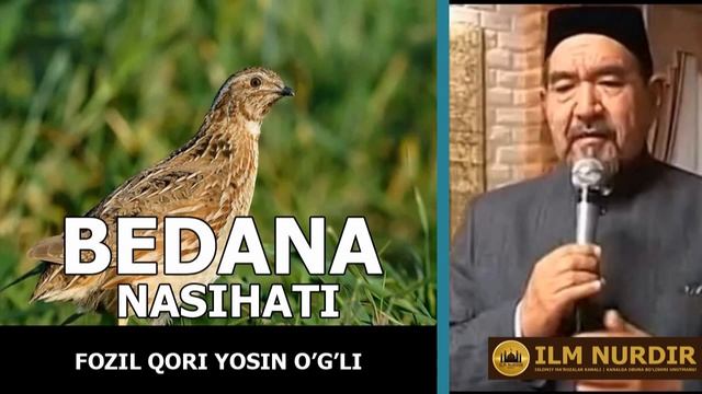 BEDANA NASIHATI - FOZIL QORI