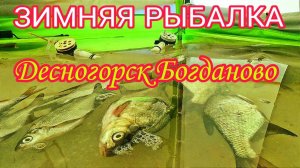 ЗИМНЯЯ РЫБАЛКА В ДЕСНОГОРСКЕ. БОГДАНОВО!!! ЛЕЩ ПРЁТ НА УРА! РЫБАЛКА С НОЧЁВКОЙ! ТОНКИЙ ЛЁД!
