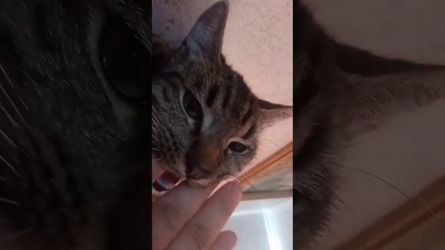 полное видео на канале смотреть онлайн