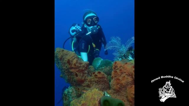 Margarita & Forest at USAT Liberty wreck in Tulamben, Bali @AMED BUDDHA DIVING смотреть онлайн