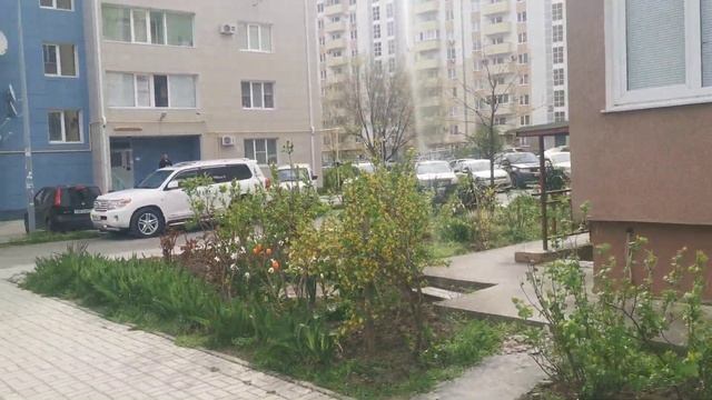 Мы живём на половину в Индии! смотреть онлайн