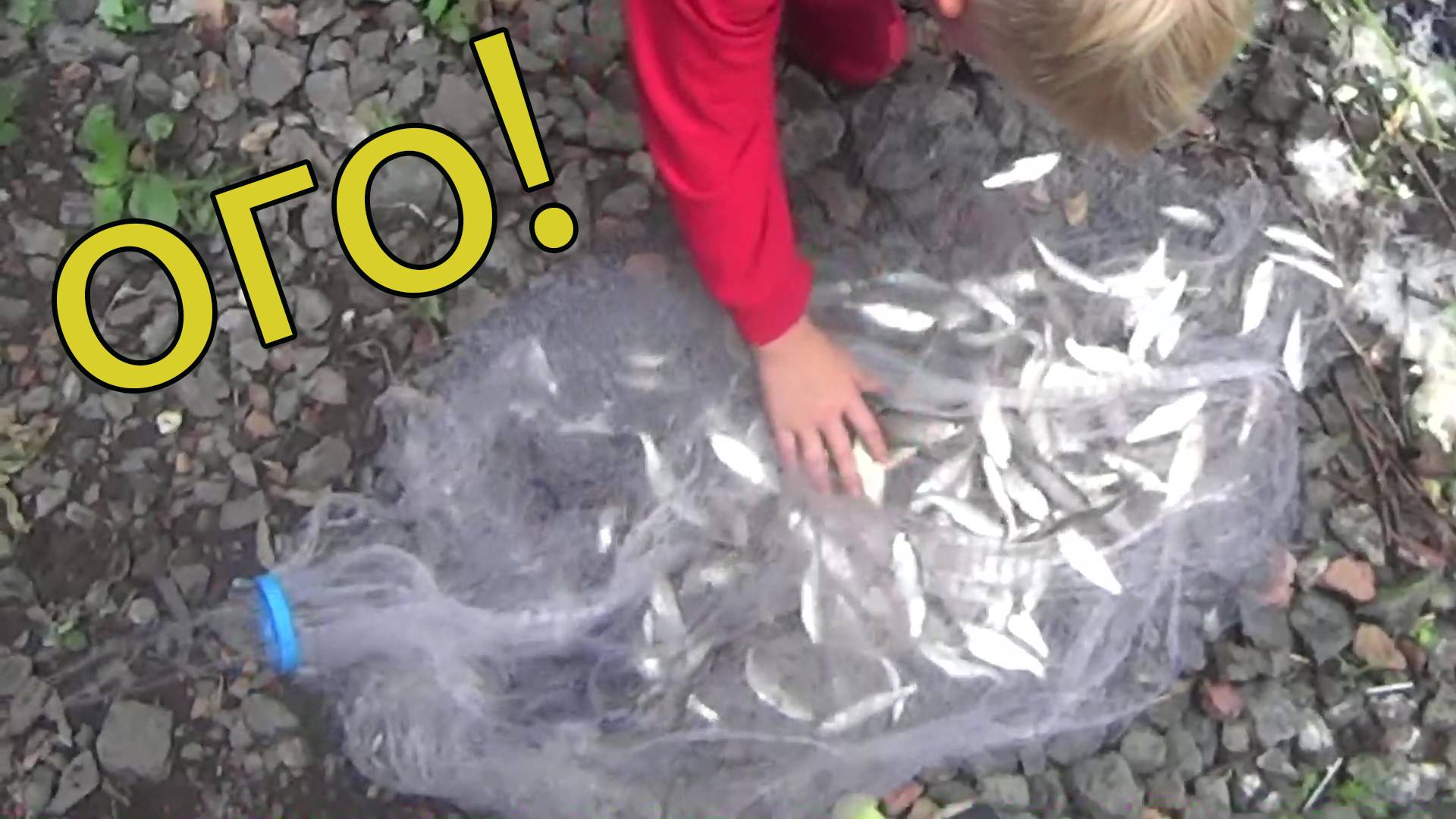 Рыбалка на кастинговую сеть! Уклейка как в море! смотреть онлайн