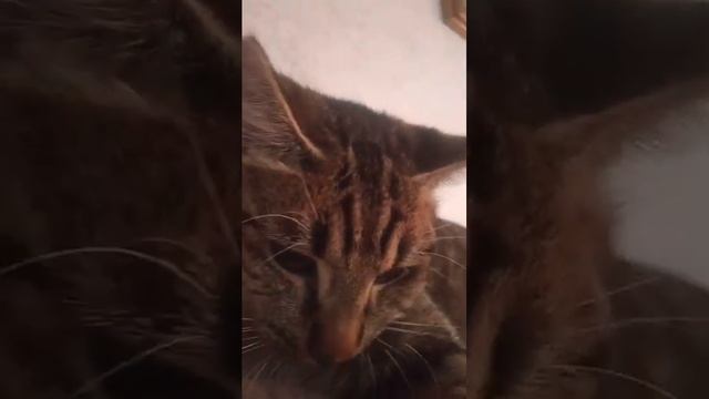 4 мая 2023 г. смотреть онлайн