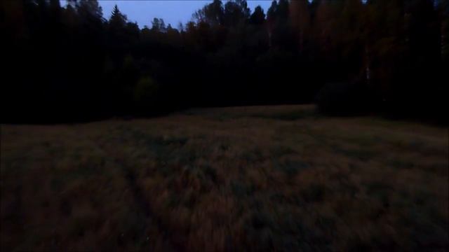 За ФАРТОМ !!!! К МЕДВЕДЯМ !!! смотреть онлайн