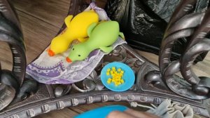 утро собачек 🌅/сквиш собачки 🎀🩷