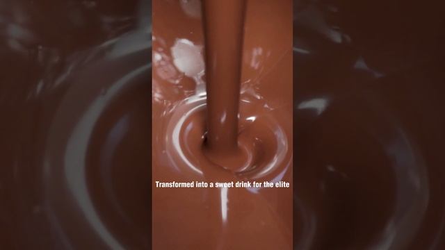 Chocolate Chronicles: Unveiling the Mind-Blowing Secrets of Cocoa смотреть онлайн