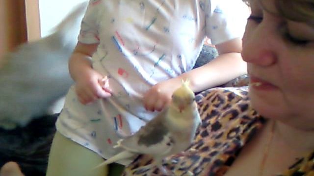 Стëпа попугайчик смотреть онлайн