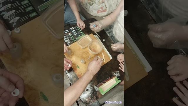 опыт селеконовые черви смотреть онлайн